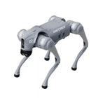 Unitree Go2 X Robot Dog