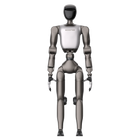 Booster T2 Professional P3 Humanoid Robot