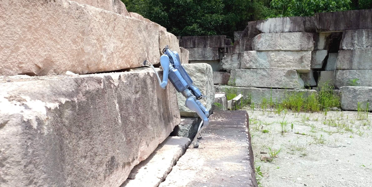 Unitree A2 climbing a stone block in a quarry