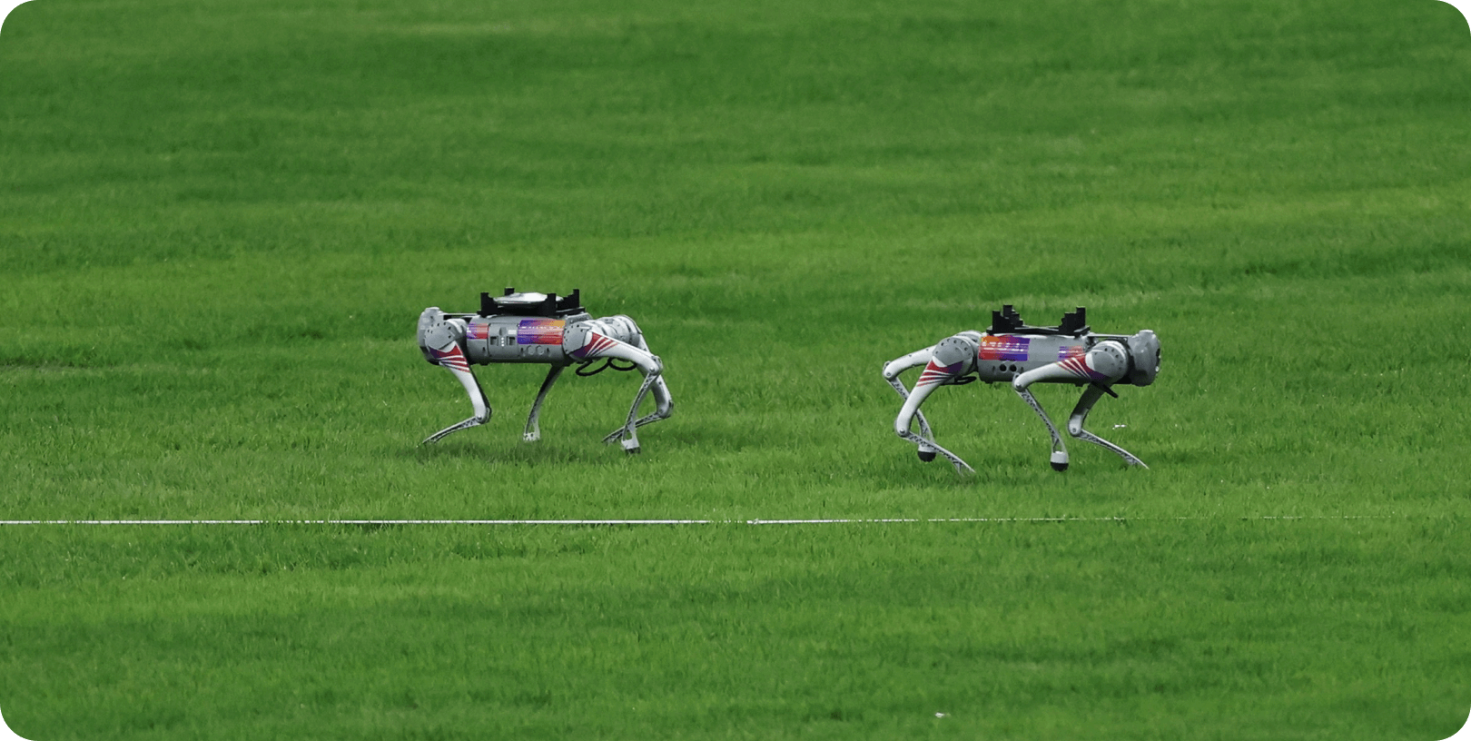 Unitree Robotics Go2 Pro - Image 1