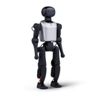 FF Master Mini Pro humanoïde robot