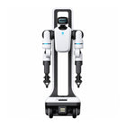 Alpha Alphabot G1 Tekerlekli İnsansı Robot