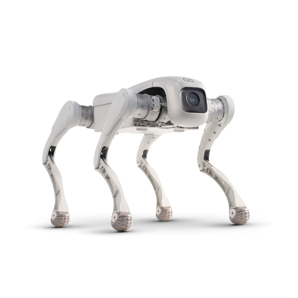 FX Aegis Edu Robot Dog
