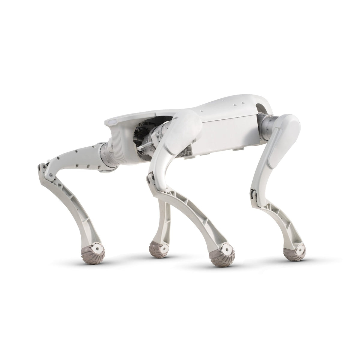 FX Aegis Edu Robot Dog