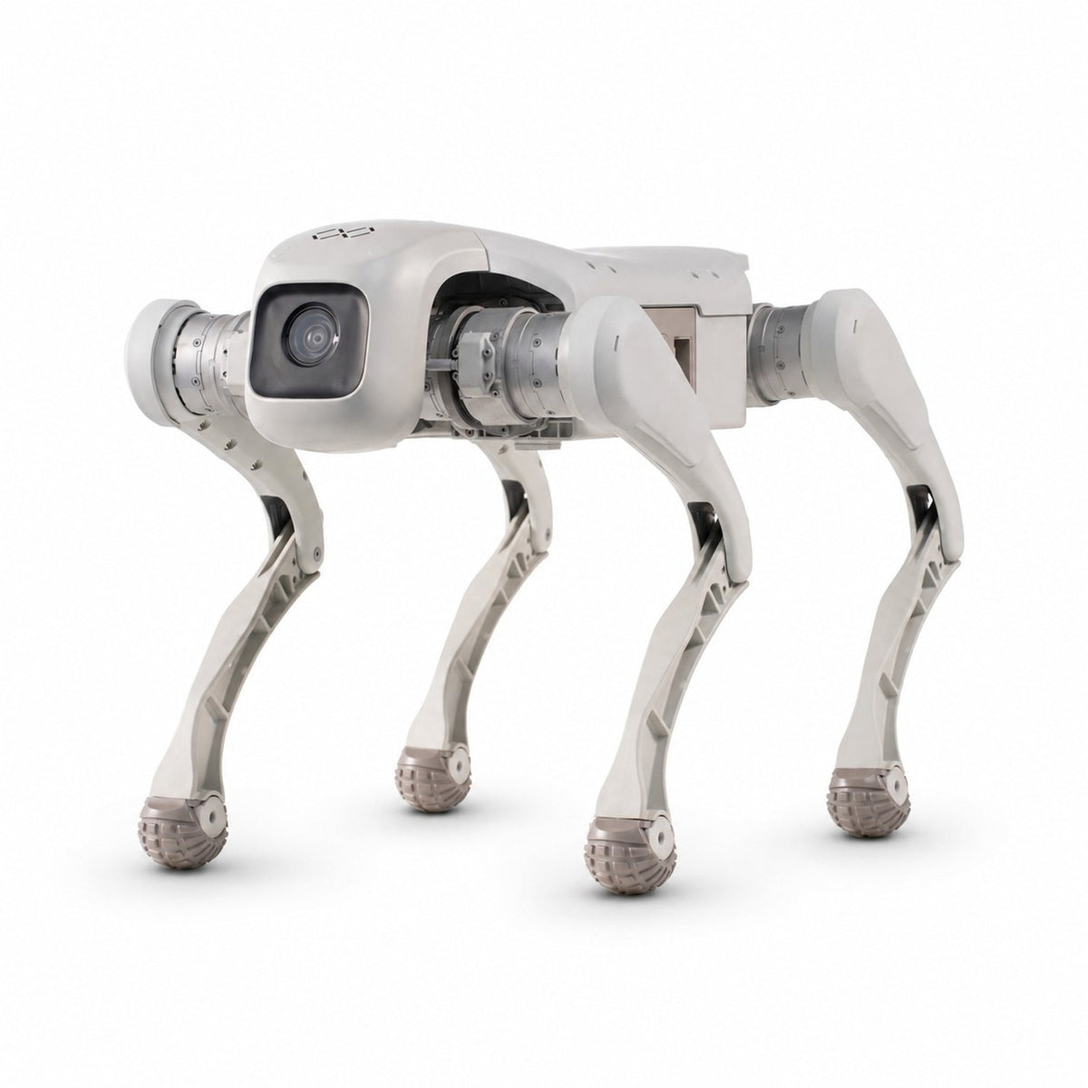 FX Aegis Pro Robot Dog