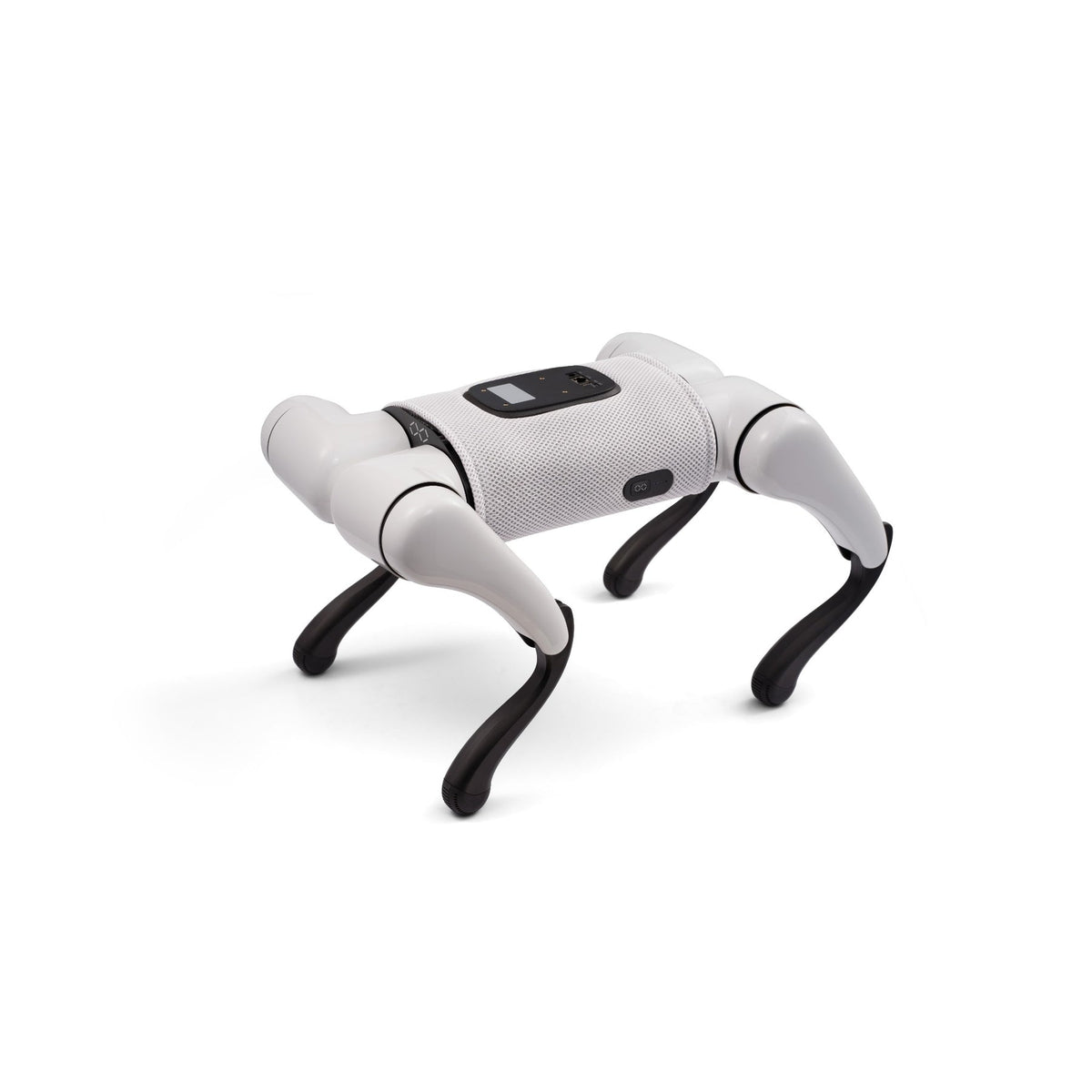 FX Navi Quadruped Robot