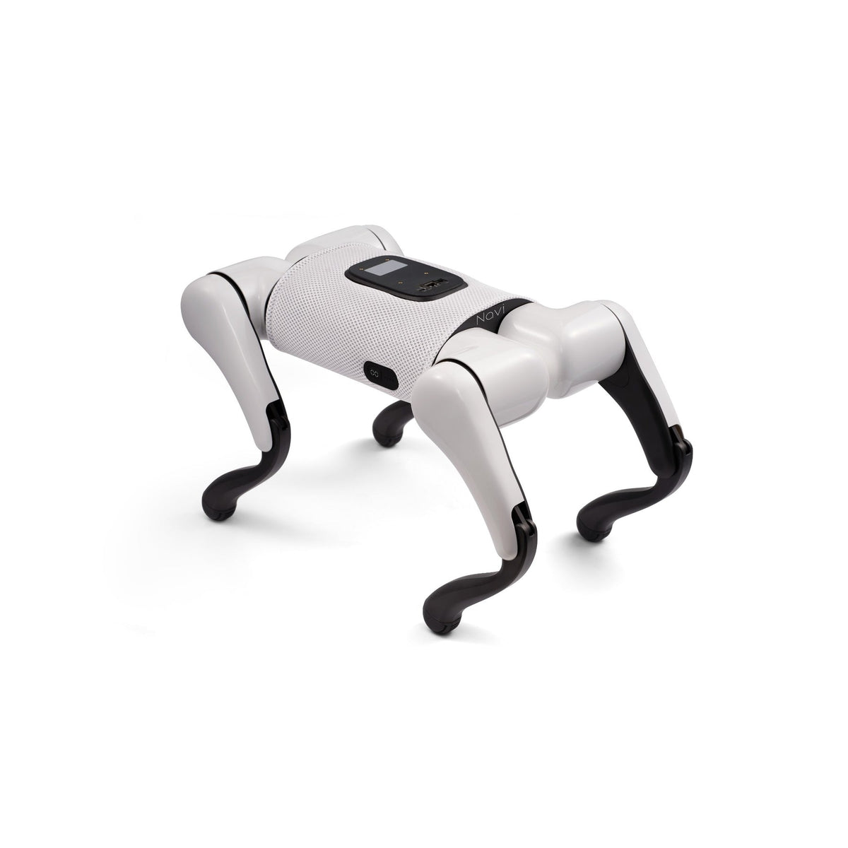 FX Navi Quadruped Robot