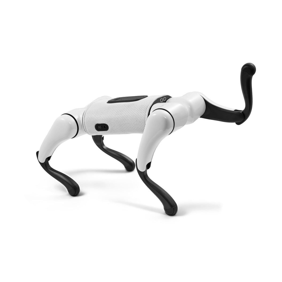 FX Navi Quadruped Robot