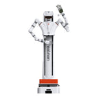 Realman DAP-D-65 Plataforma de desarrollo de IA encarnada de doble brazo