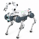 Deep Robotics X30 RealMan RML63-6F-V Robot Kol + Tutucu
